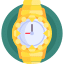 Luxury Watch Icon